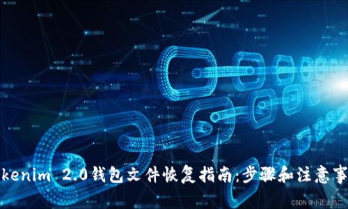 Tokenim 2.0钱包文件恢复指南:步骤和注意事项