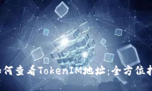 如何查看TokenIM地址:全方位指南