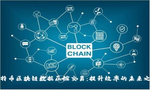 比特币区块链数据压缩交易:提升效率的未来之路