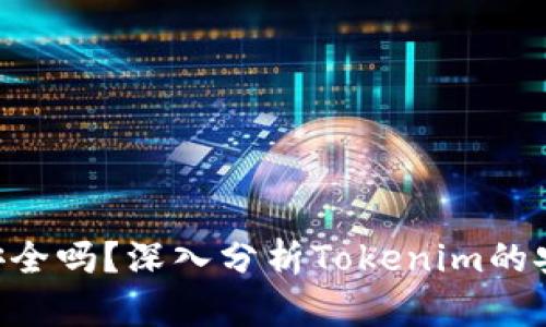 Tokenim不安全吗?深入分析Tokenim的安全性与风险