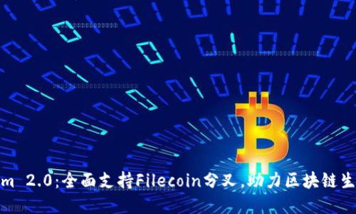 Tokenim 2.0:全面支持Filecoin分叉,助力区块链生态发展