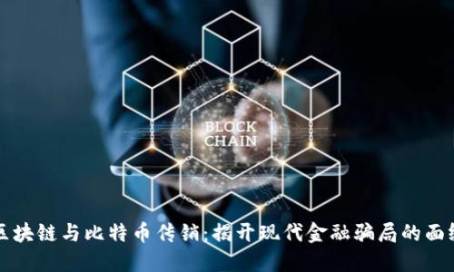 区块链与比特币传销:揭开现代金融骗局的面纱