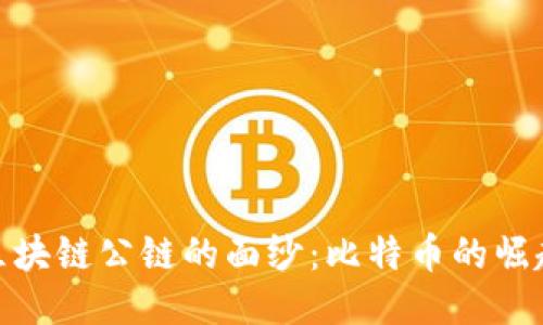 揭开主流区块链公链的面纱:比特币的崛起及其影响