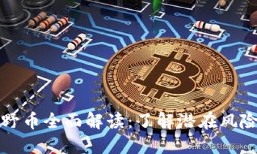 区块链野币全面解读:了解潜在风险与机会