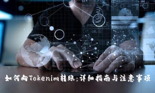 如何向Tokenim转账:详细指南与注意事项