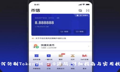 如何仿制TokenIM 2.0源码:详细指南与实用技巧