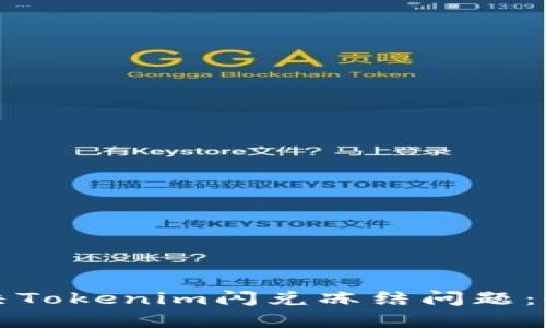 如何解决Tokenim闪兑冻结问题:全面指南