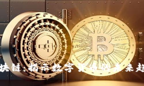 V卩y币区块链:揭示数字货币的未来趋势与价值