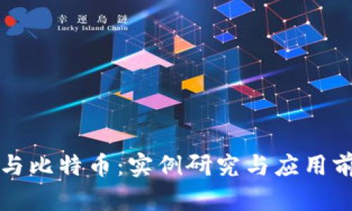 区块链与比特币:实例研究与应用前景探讨