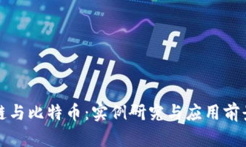 区块链与比特币:实例研究与应用前景探讨