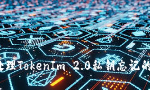 如何处理TokenIm 2.0私钥忘记的问题?