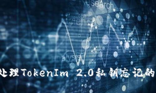 如何处理TokenIm 2.0私钥忘记的问题?