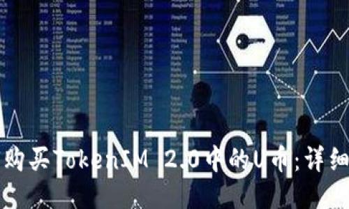 如何购买TokenIM 2.0中的U币:详细指南
