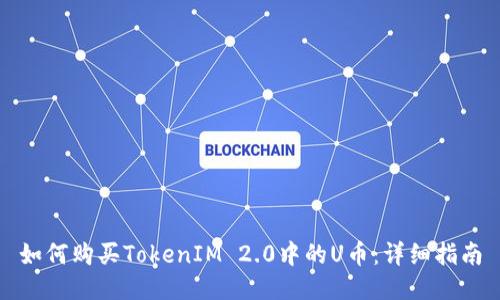 如何购买TokenIM 2.0中的U币:详细指南