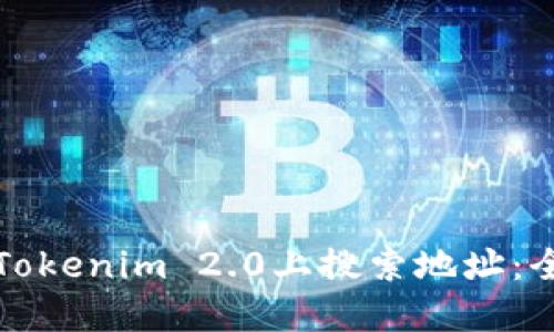 如何在Tokenim 2.0上搜索地址:全面指南