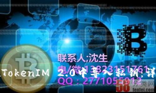 如何在TokenIM 2.0中导入私钥:详尽指南