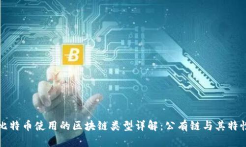 比特币使用的区块链类型详解:公有链与其特性