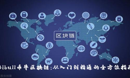 Bibull币牛区块链:从入门到精通的全方位指南