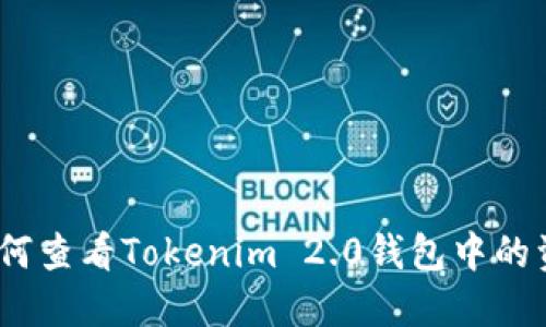 : 如何查看Tokenim 2.0钱包中的资产？