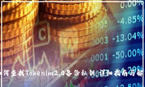 如何查找Tokenim2.0备份私钥：详细指南与解答