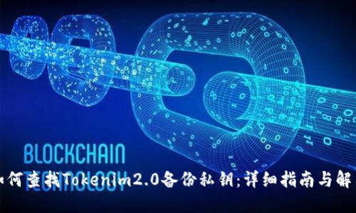 如何查找Tokenim2.0备份私钥：详细指南与解答