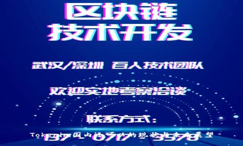 Tokenim国内还可以的现状与未来展望