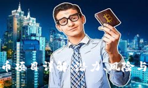 区块链Pi币项目详解:潜力、风险与发展趋势