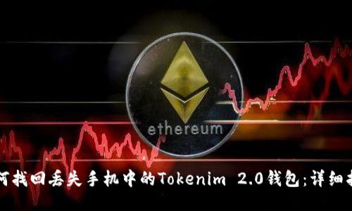 如何找回丢失手机中的Tokenim 2.0钱包:详细指南
