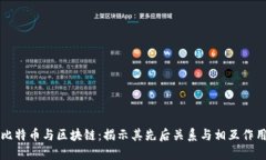 比特币与区块链：揭示其