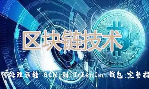 如何处理误转 BCH 到 TokenIm 钱包:完整指南