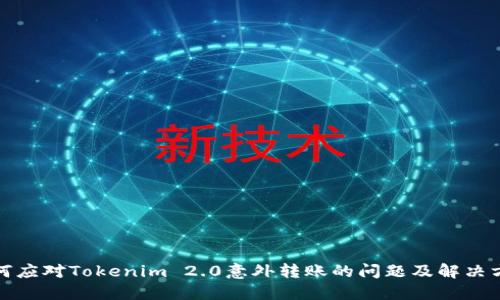 如何应对Tokenim 2.0意外转账的问题及解决方案