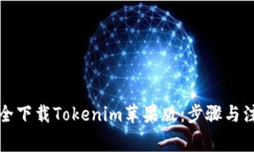 如何安全下载Tokenim苹果版:步骤与注意事项