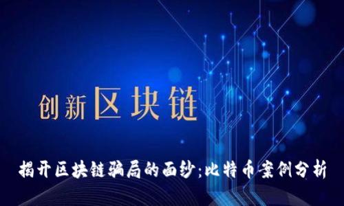 揭开区块链骗局的面纱:比特币案例分析