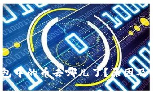 TokenIM钱包中的币去哪儿了?原因及解决方案详解