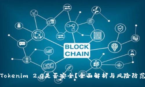 Tokenim 2.0是否安全?全面解析与风险防范