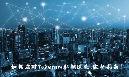 如何应对Tokenim私钥遗失:完整指南