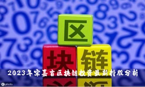 2023年宋嘉吉区块链投资最新持股分析