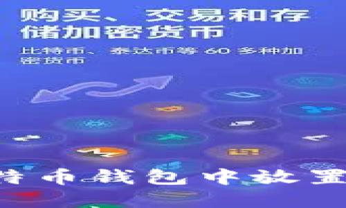 如何在莱特币钱包中放置TokenIM?