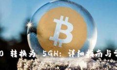 Tokenim 2.0 转换为 5GH: 详细