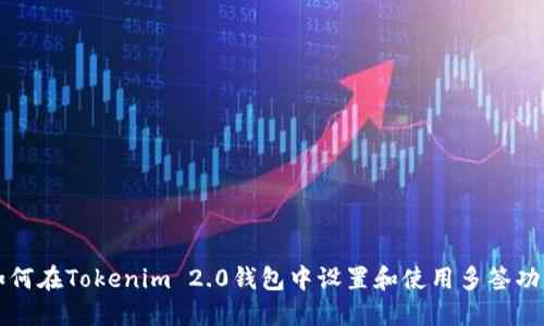 如何在Tokenim 2.0钱包中设置和使用多签功能
