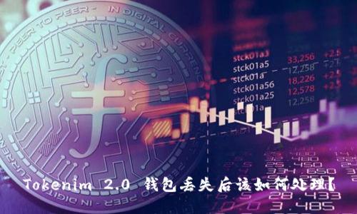 Tokenim 2.0 钱包丢失后该如何处理?