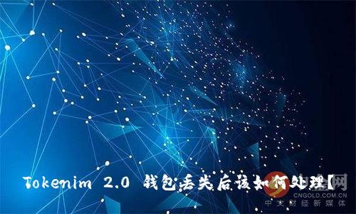 Tokenim 2.0 钱包丢失后该如何处理?