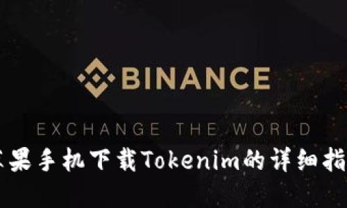 苹果手机下载Tokenim的详细指南