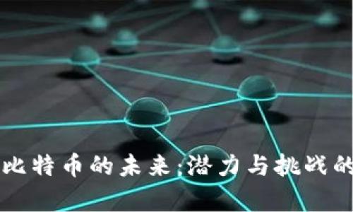 区块链与比特币的未来:潜力与挑战的全面分析