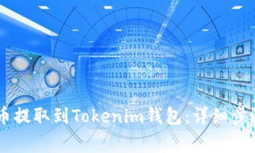 如何将SHIB币提取到Tokenim钱包:详细步骤与注意事项