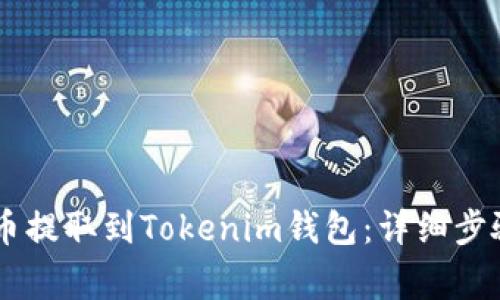 如何将SHIB币提取到Tokenim钱包:详细步骤与注意事项