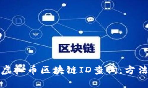 : 如何进行虚拟币区块链ID查询:方法与工具解析
