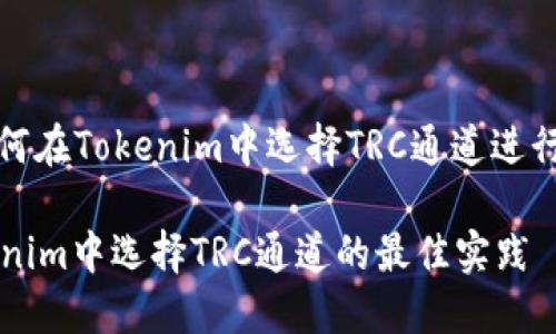 : 如何在Tokenim中选择TRC通道进行交易
Tokenim中选择TRC通道的最佳实践