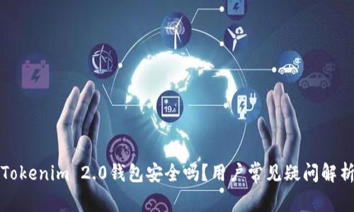 Tokenim 2.0钱包安全吗?用户常见疑问解析