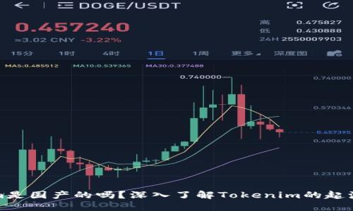 Tokenim是国产的吗?深入了解Tokenim的起源与发展